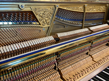 Christof Klingel berät mit Sorgfalt und Engagement